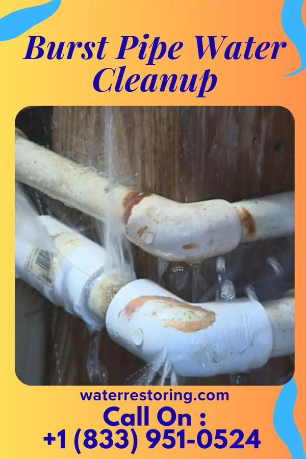 Burst Pipe Water Cleanup in Buckland, OH