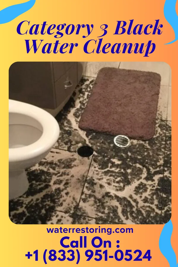 Category 3 Black Water Cleanup in Buckland, OH