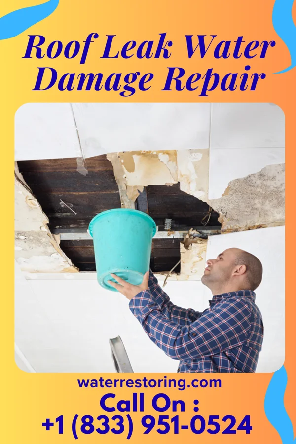 Roof Leak Water Damage Repair in Buckland, OH