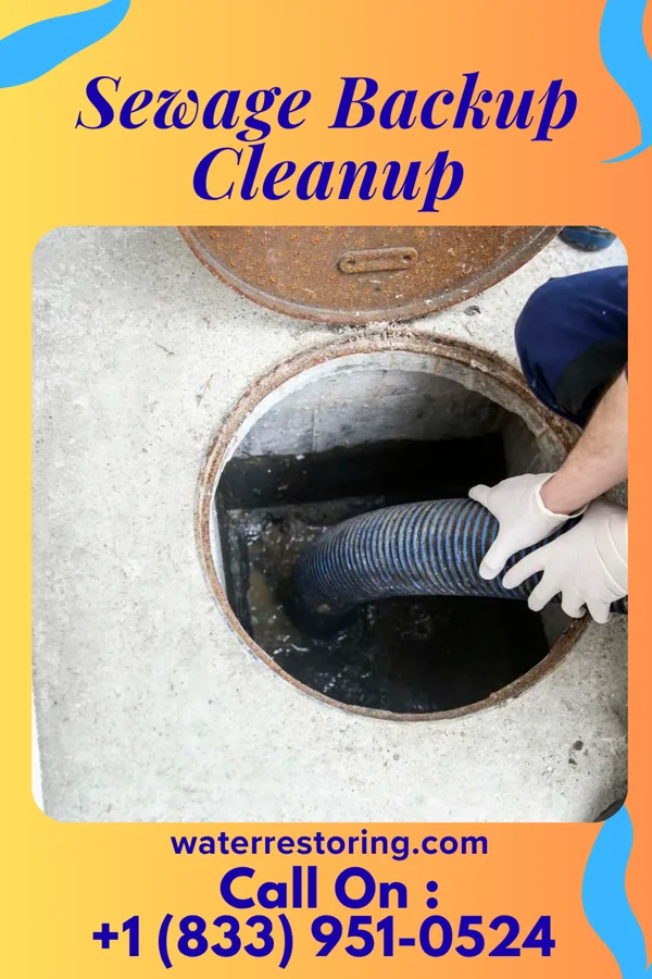 Sewage Backup Cleanup in Buckland, OH