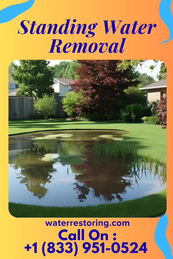 Standing Water Removal in Buckland, OH